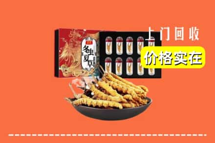惠济区回收虫草